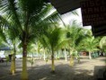 /album/fotogaleria/cancha-de-futboll-jpg1/